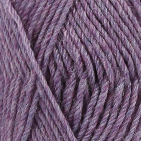 Lavendel